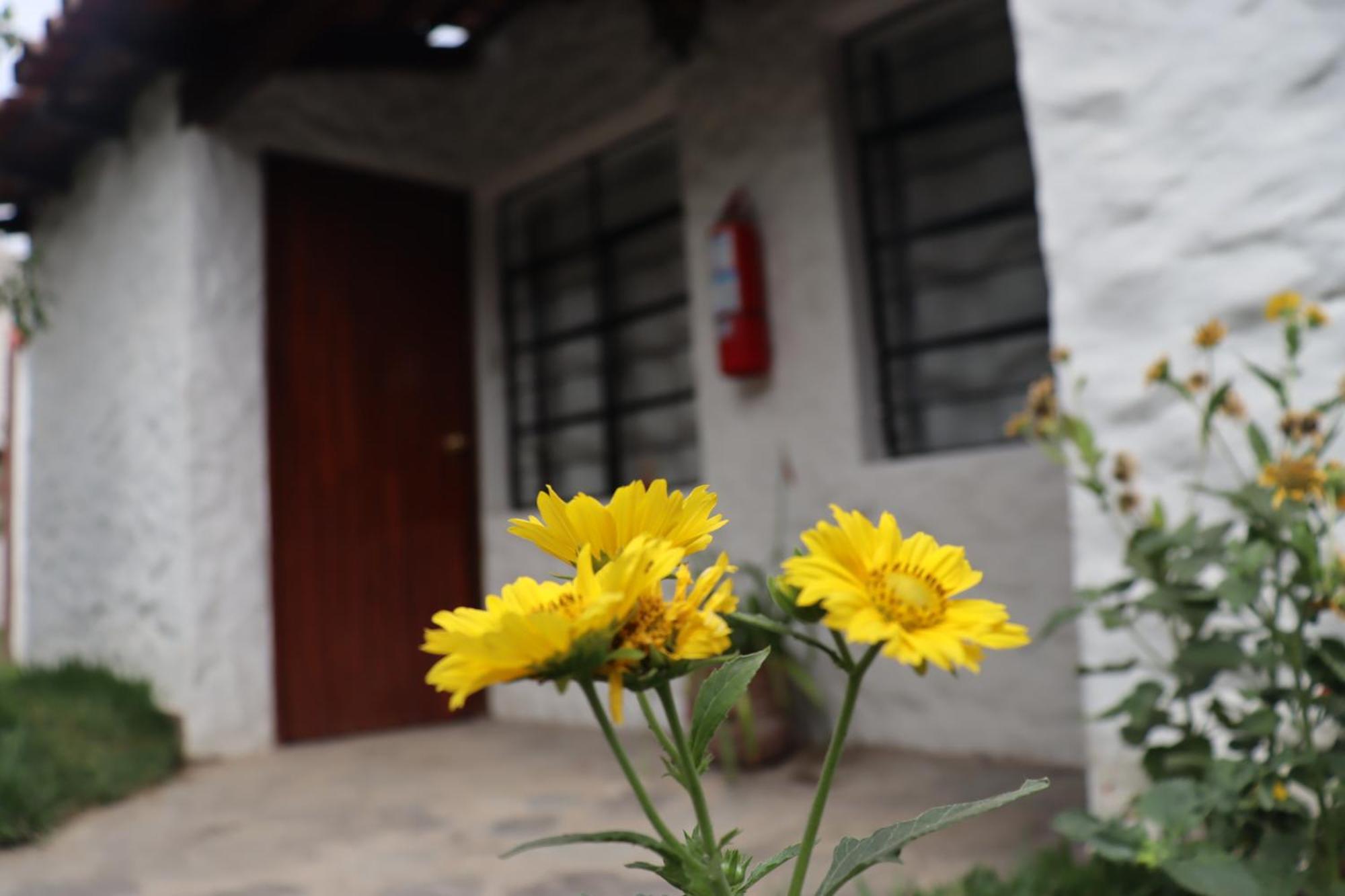 Los Andes - Restaurant & Bungalows Cieneguilla Luaran gambar