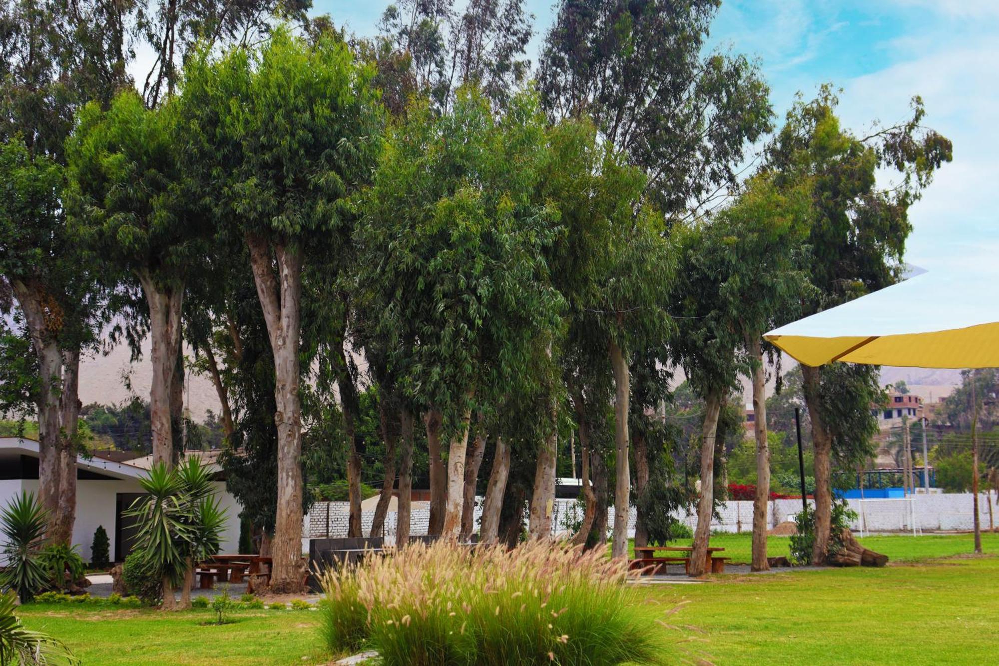 Los Andes - Restaurant & Bungalows Cieneguilla Luaran gambar